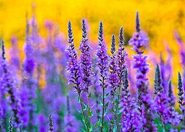 《暗黑破坏神4》首发不支持悬浮地图